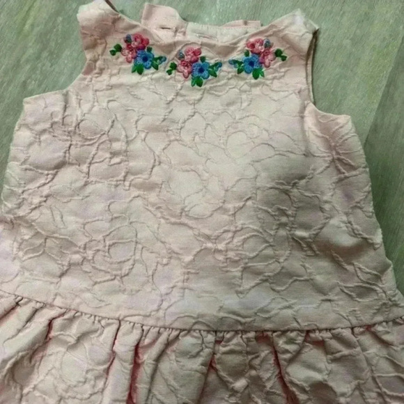 Janie and jack Embroidered Jacquard Dress size 6-12 months - Picture 3 of 4